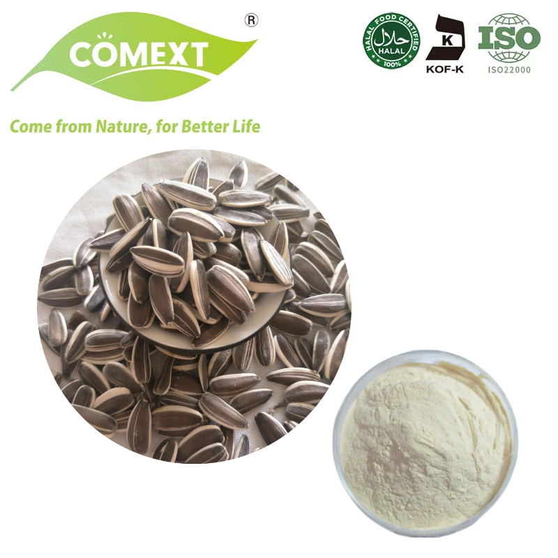 Comext Manufacturer Supply High Quality Sunflower Protein Sunflower Protein Powder