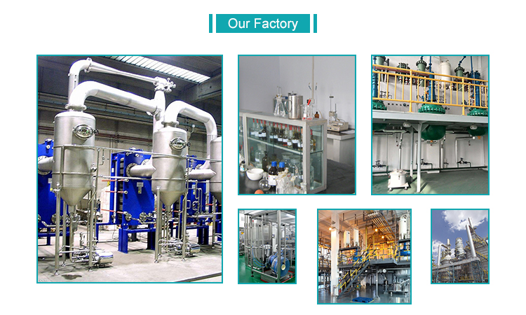 Factory Details
