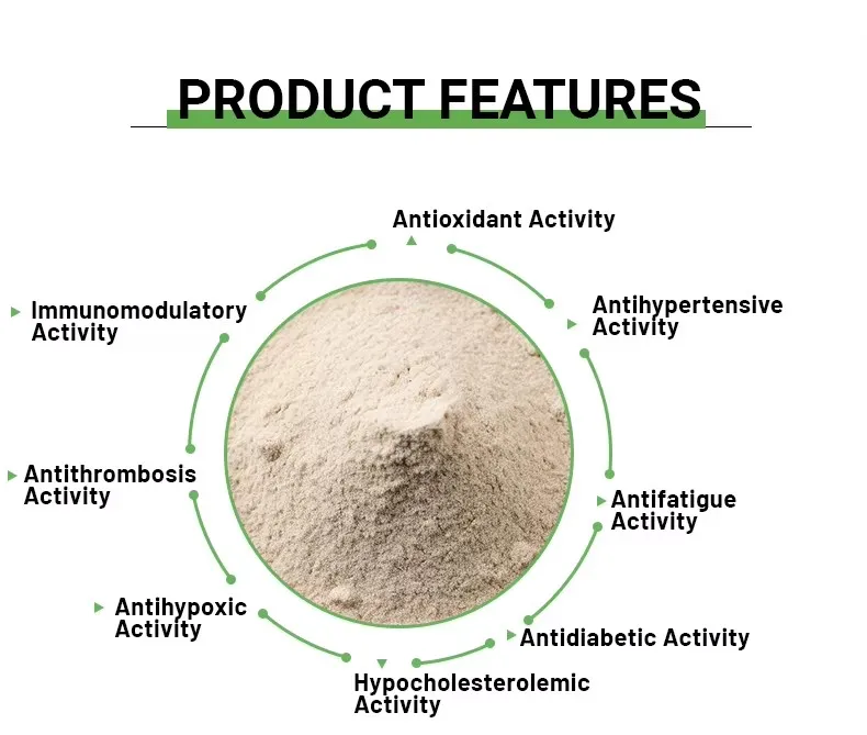 Bulk Organic Natural Vegan Protein Oat Protein Powder