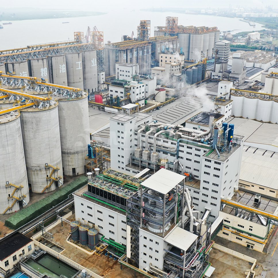 Turnkey Soybean Oil Mill Factory, Oilseed Canola Rapeseed Sunflower Oil Processing Machine