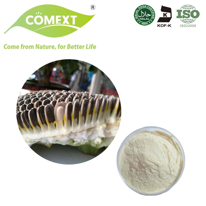 Comext ISO Halal Certificated Supply Natural Sunflower Seed Protein Powder