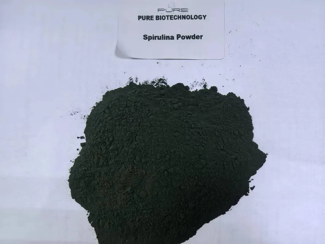 Spirulina Powder Supplier: High Protein Blue Green Algae Superfood