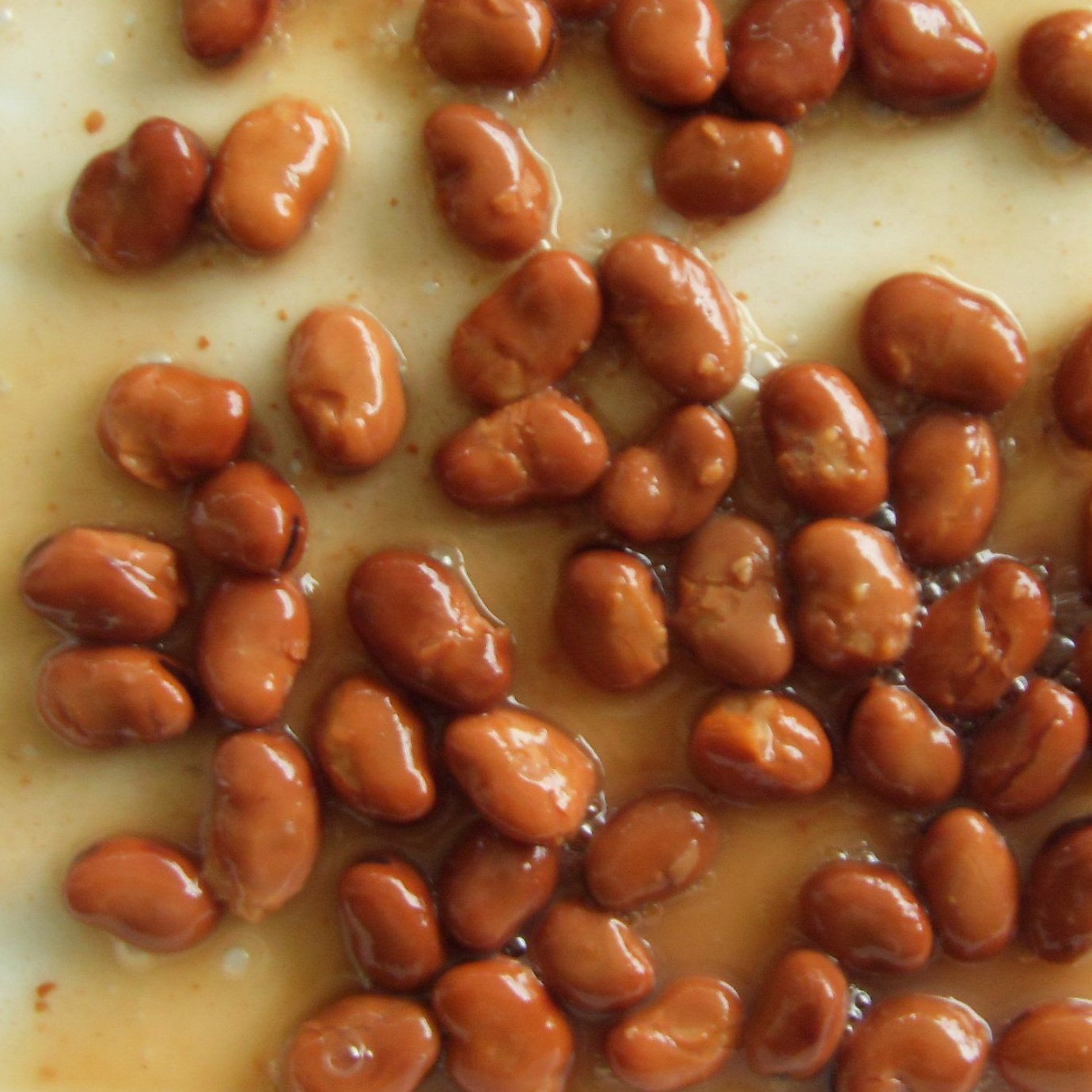 Premium Canned Fava Beans Plump Mild Nutty Flavor | Ready-to-Eat Water &amp; Salt Preserved Kosher Brine Protein-Rich Legume