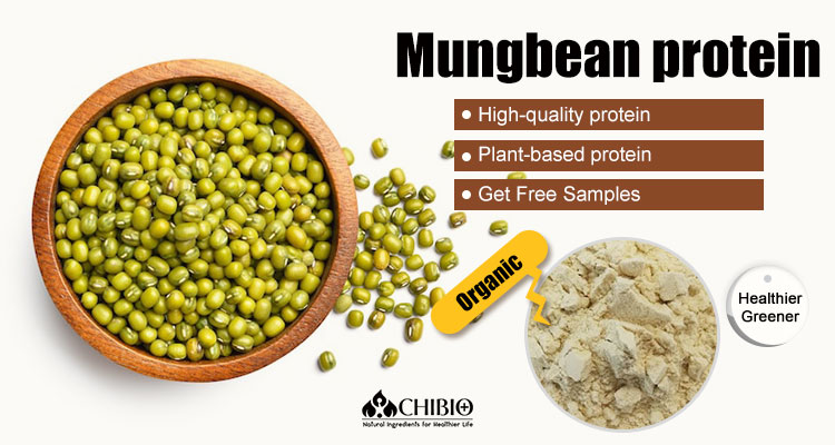 Mung Bean Protein Product Showcase