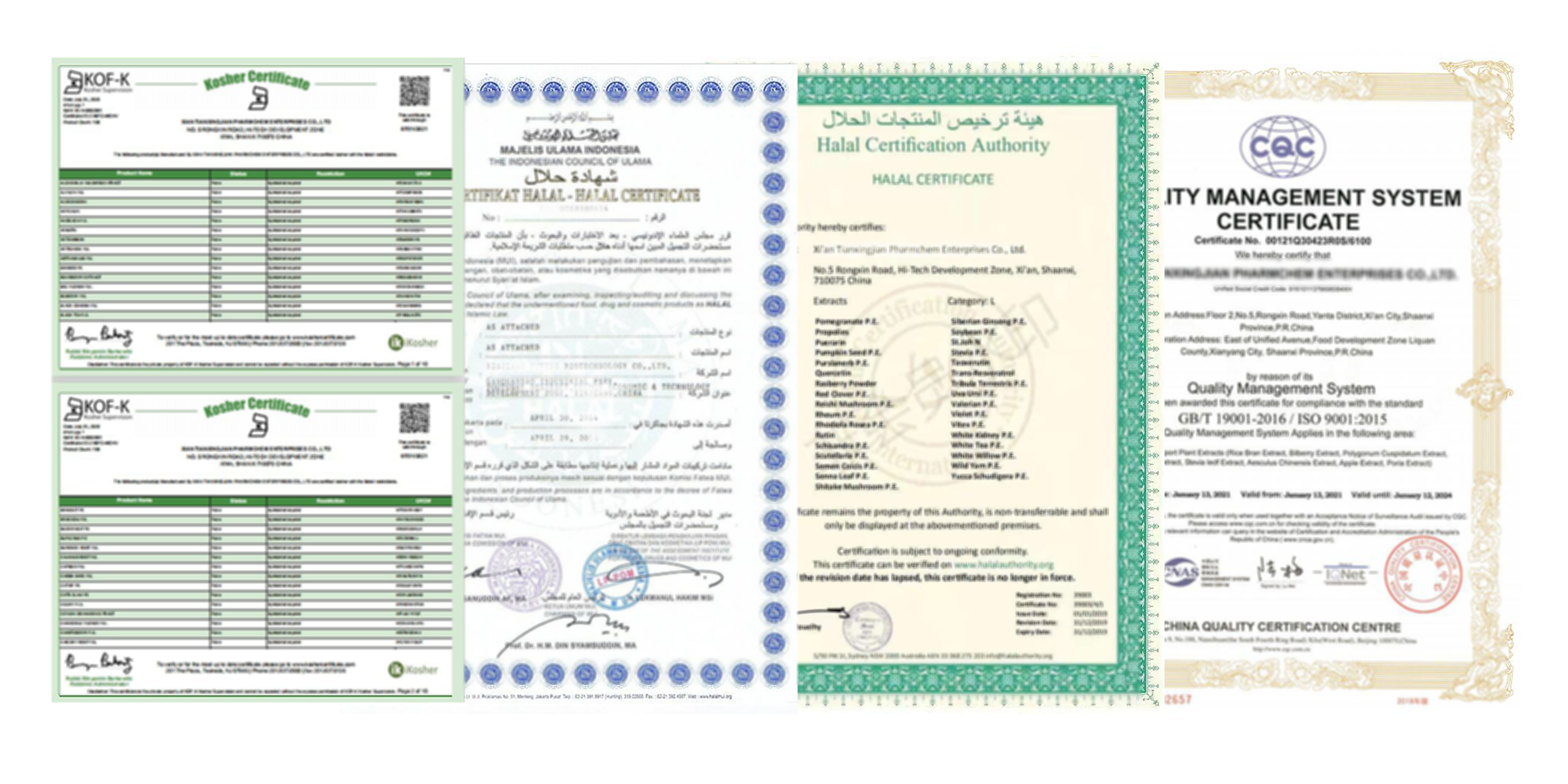 Certification 1