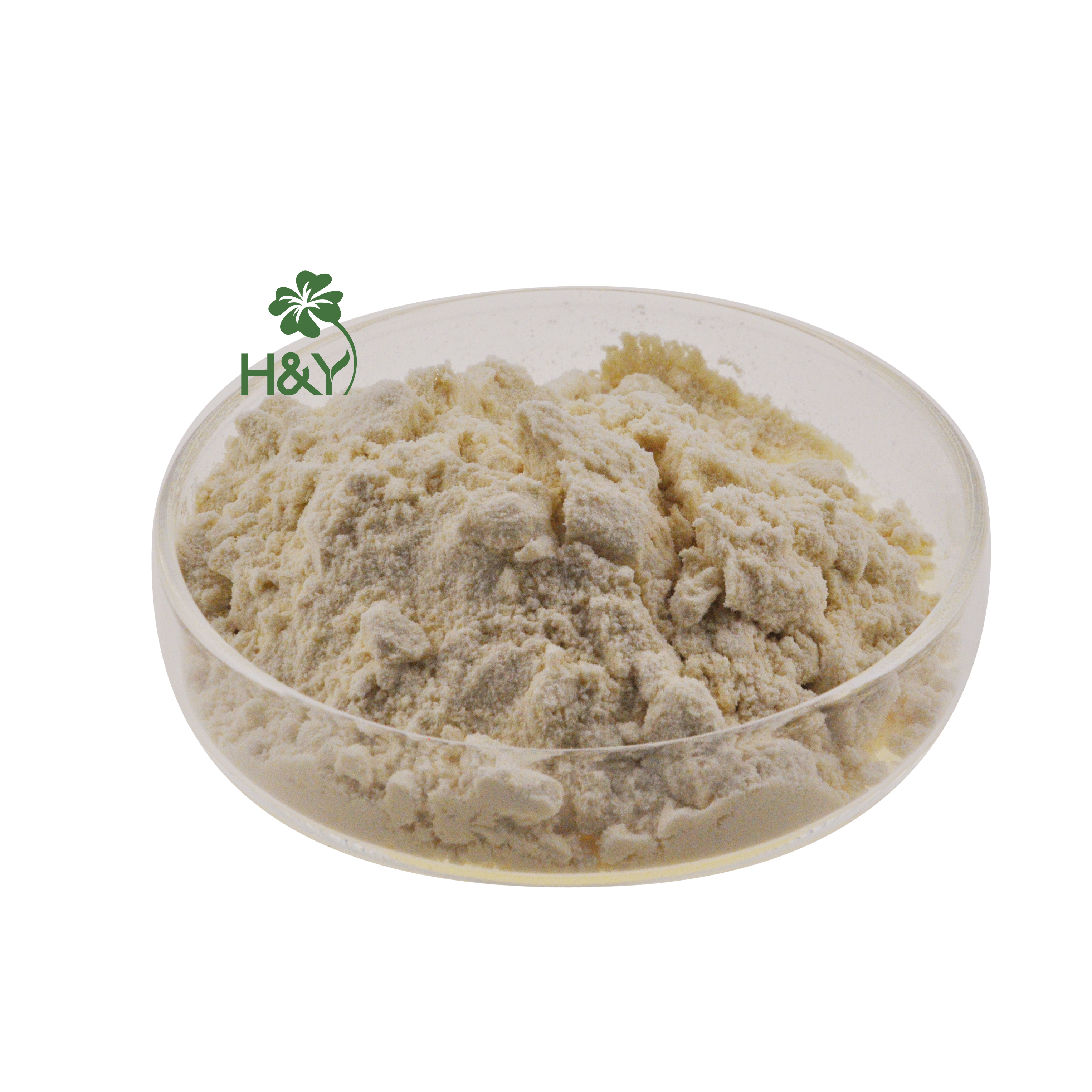 Heathway Supply High Quality Mung Bean Protein Isolate Powder Organic
