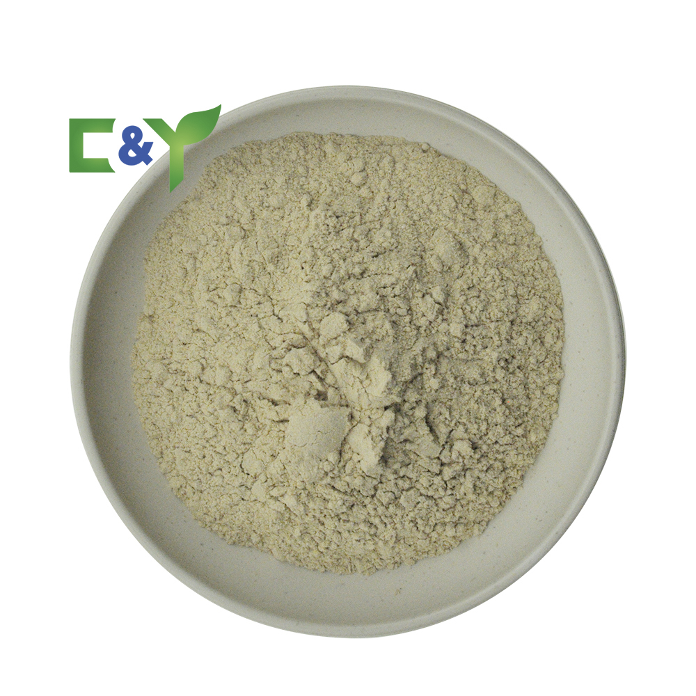 High Quality Natural Pumpkin Seed Protein Fatty Acid Pumpkin Seed Extract