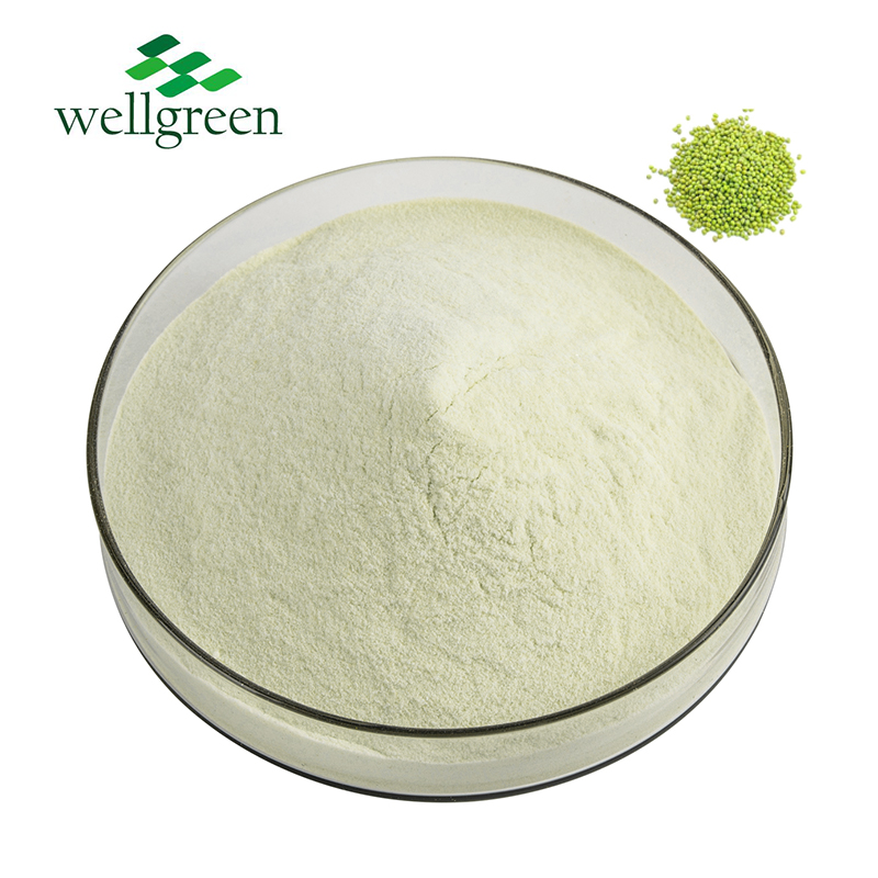 Mung Bean Protein Processing