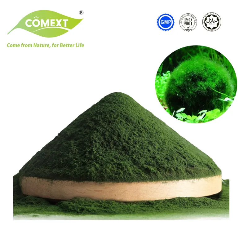 Green Algae Chlorella Vulgaris Protein Powder Broken Shell Chlorella Powder
