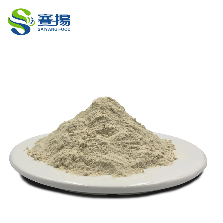 Saiyang Supply 100% Pure Hemp Seed Protein Powder