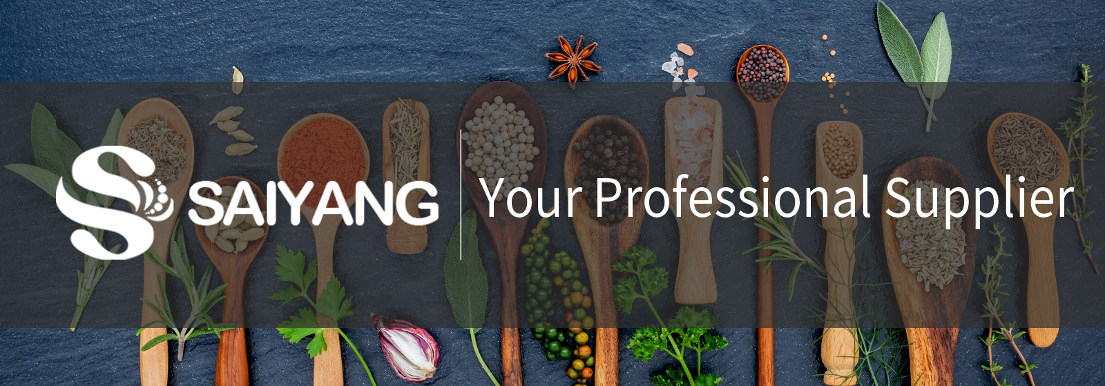 Hemp Protein Banner