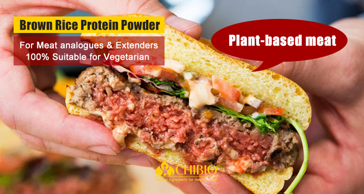 Organic Brown Rice Protein