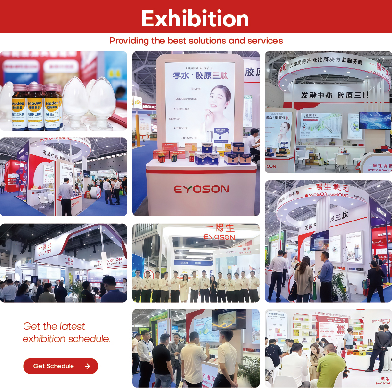 Certification Showcase