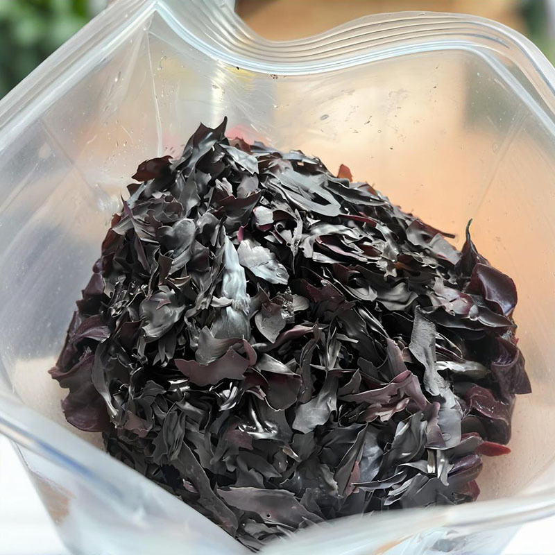 Vegan Dulse Flakes - Protein 20%