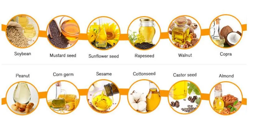 Canola Oil Processing Equipment Oil Extraction and Refinery Workshop
