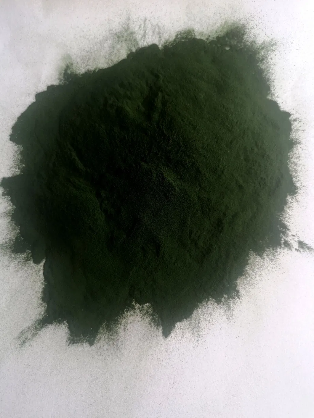 Spirulina Powder Supplier: High Protein Blue Green Algae Superfood