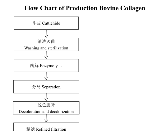 Specification Sheet 1