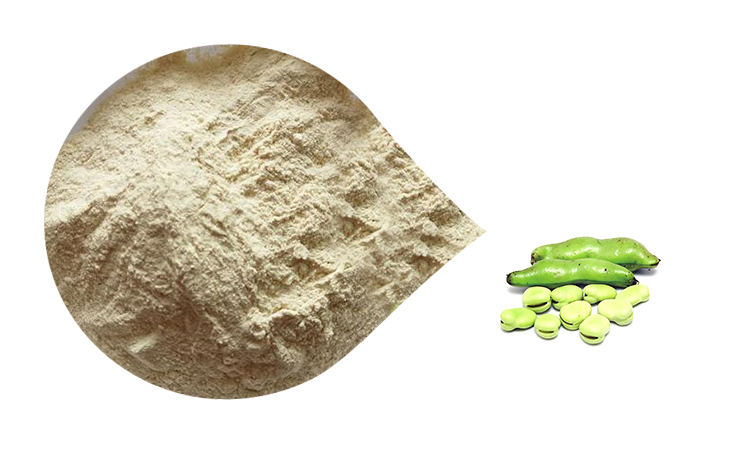 Organic Fava Bean
