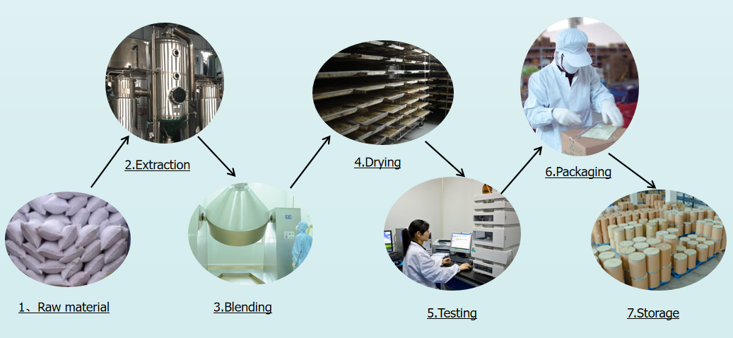 Factory Details 2
