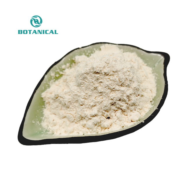 B.C.I Factory Price High Protein Vital Wheat Gluten Wheat Protein Powder Food Grade