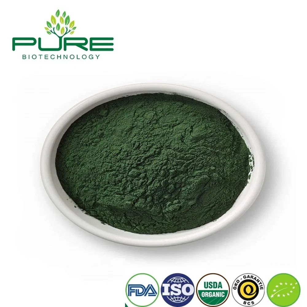 Premium Organic Spirulina Protein Powder for Immune Health