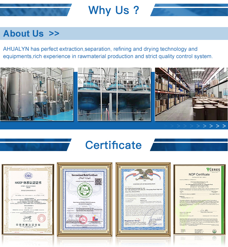 Why Choose Us Image