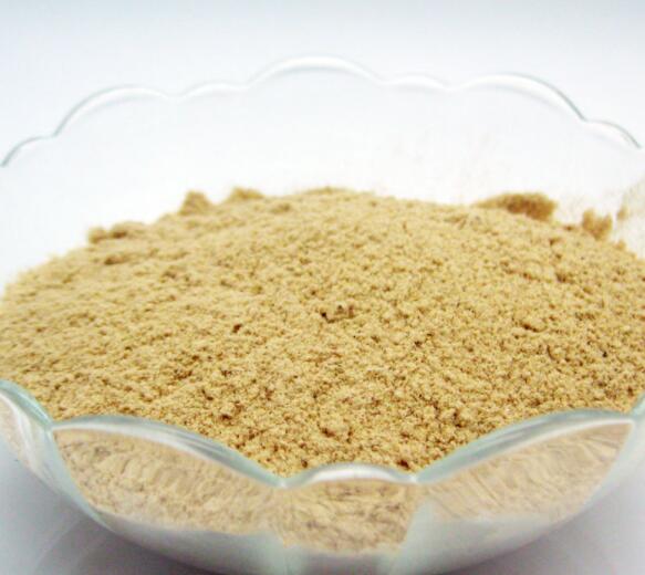 Wholesale High Quality Hemp Seed Protein Powder