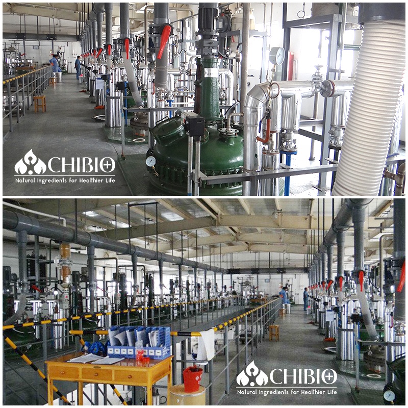 Hemp Seed Extract with Wholesale Price 50% Hemp Protein Raw Material Powder