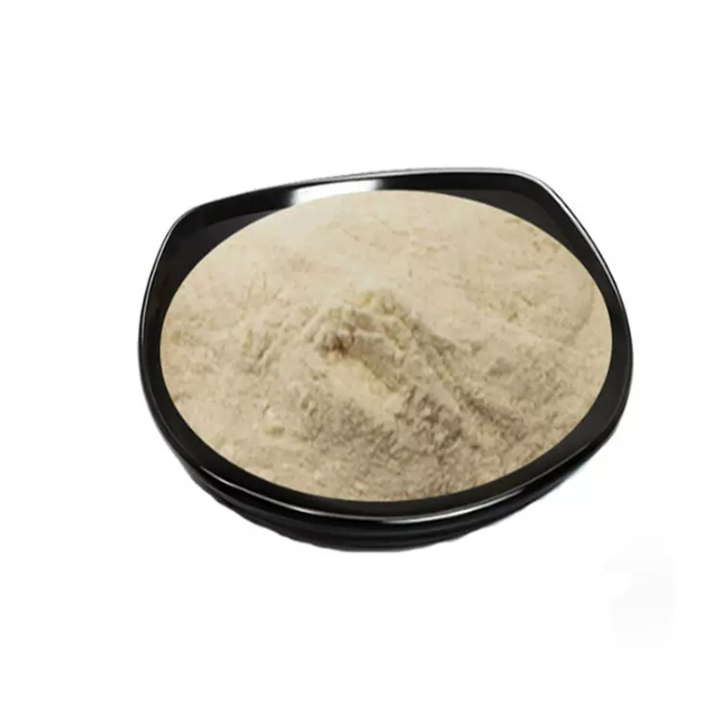 Mung Bean Mung Bean Protein Isolate Powder 85% Mung Bean Protein Powder