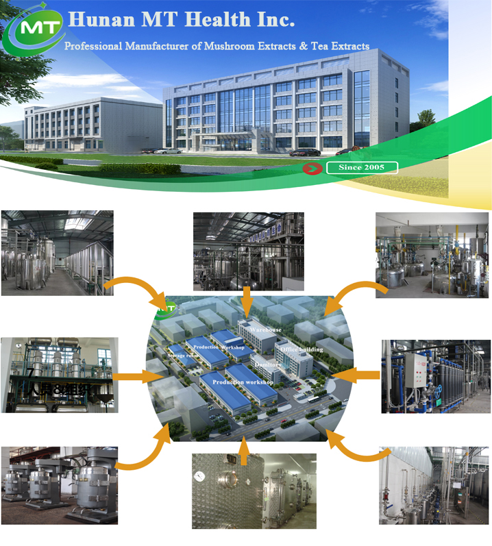 Factory High Quality 100% Nature Pure Maltodextrin Powder Corn Starch Bulk