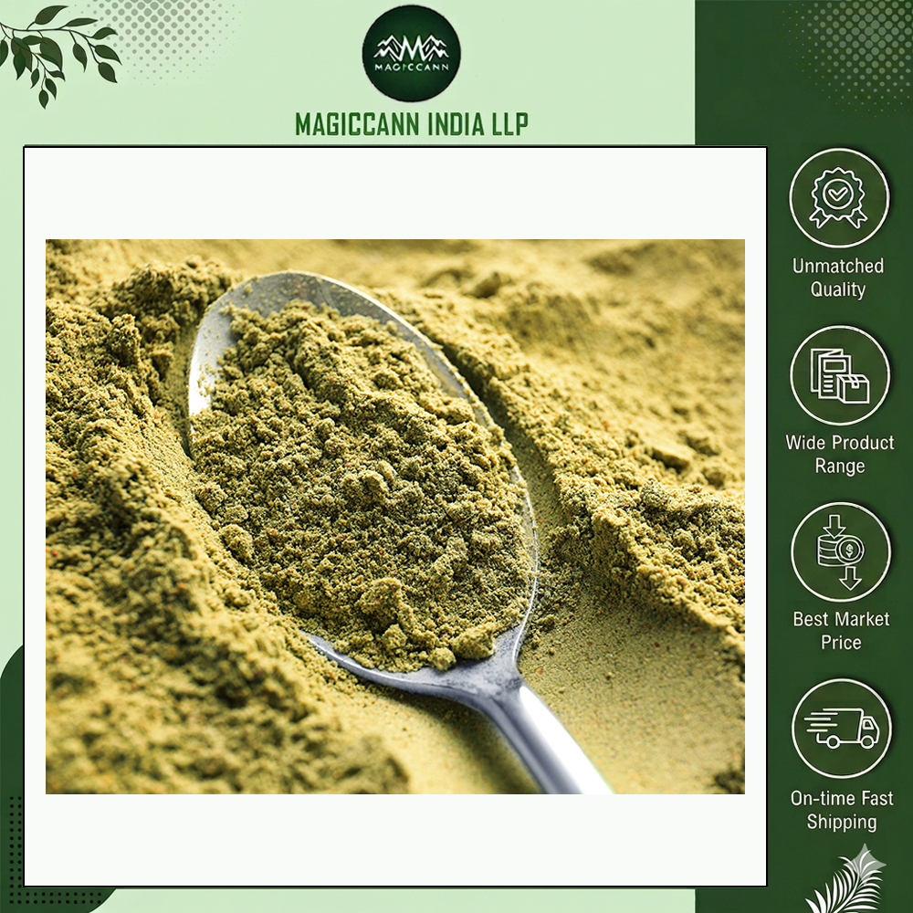 High Quality Cold Pressed Herbal Extract Hemp Protein Powder Plant-Based Fine Texture Muscle Support Fitness Wellness Food Grade