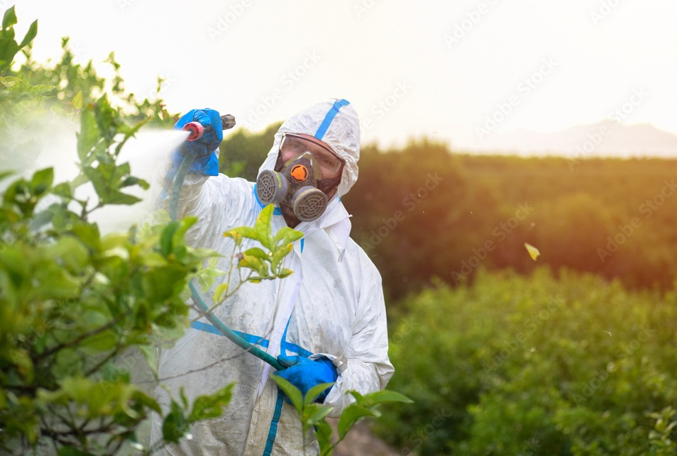 Safe Broad Spectrum Clethodim Herbicide for Canola Cultivation