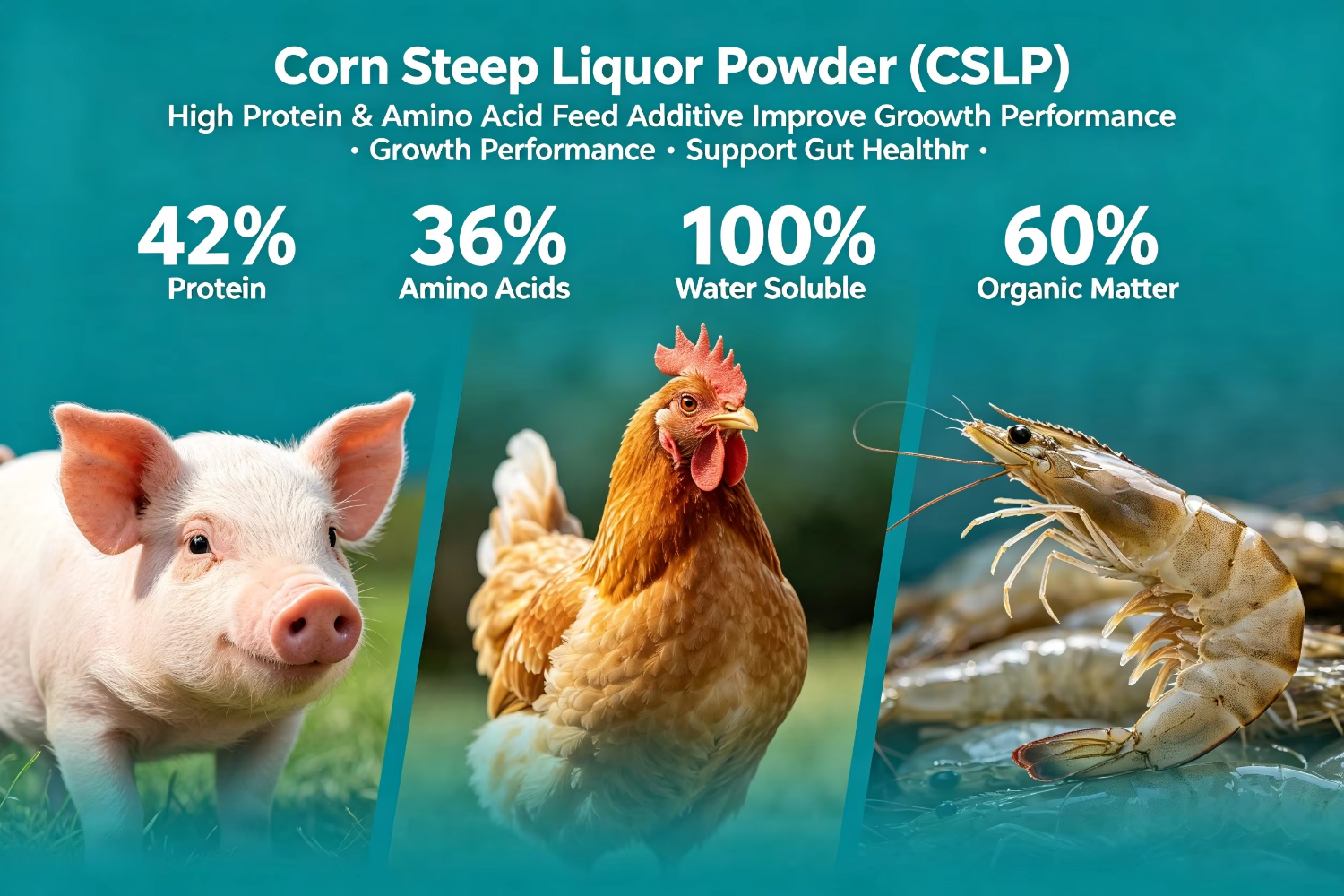 Aquatic Feed Corn Fermented Protein 42% 100% Water Soluble Feed Grade Amino Acids for Fish & Shrimp