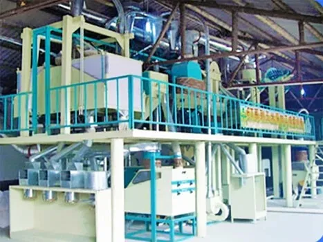 Corn Processing Line Case 5