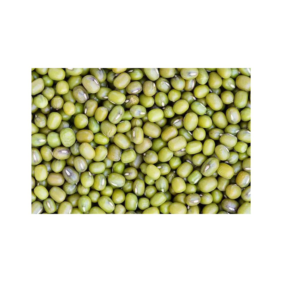 Packaging Standard 2