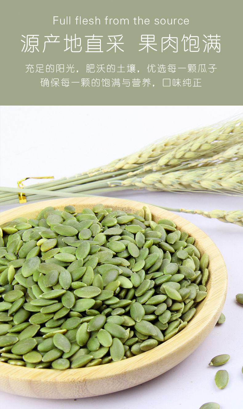 Pumpkin Seed Protein Banner