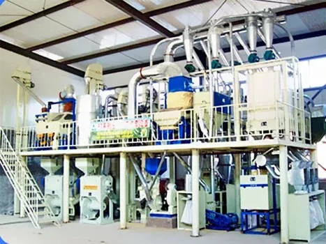 Corn Processing Line Case 8