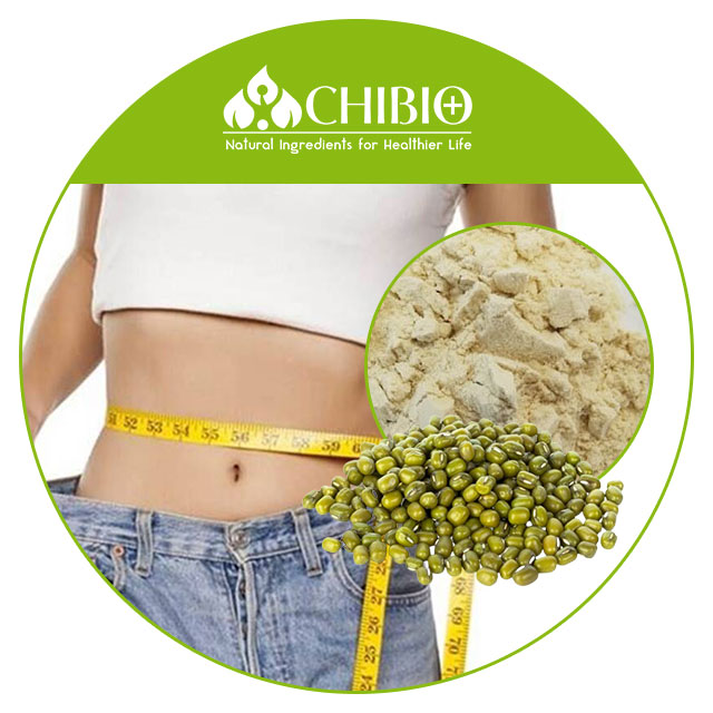 Mung Bean Protein Extraction
