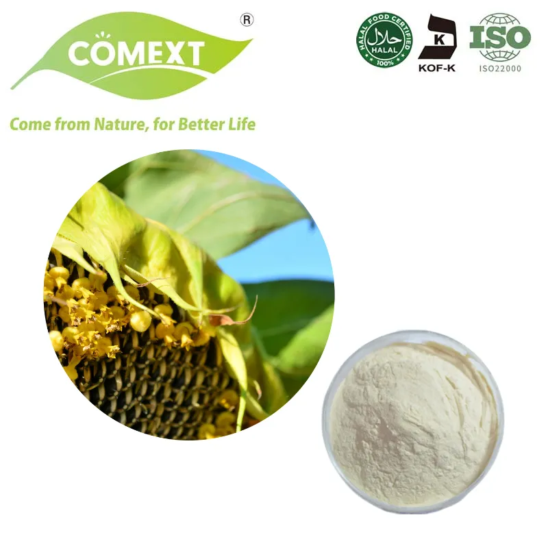 Free Samples Protein 55%-60% Cosmetics Health Products Sunflower Seed Protein Powder