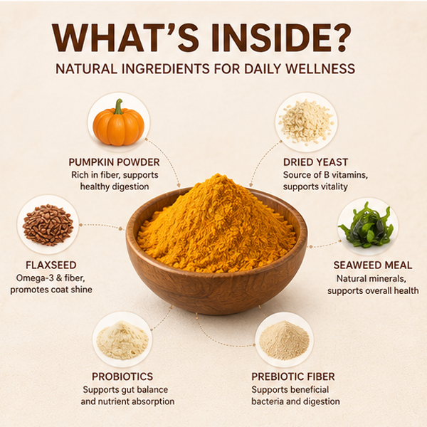 Pet Pumpkin Powder For Dogs Cats Natural High Fiber Supplement Fast Absorption Aids Digestion Immune Support Relieves