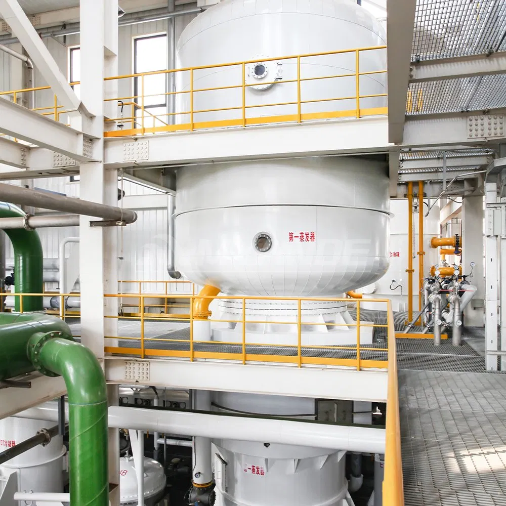 Oil Extraction Machine Supplier with Process Capacity 100tpd-10000tpd Soybean Canola Sunflower Cotton Oilseeds, China Top Edible Oil Expeller
