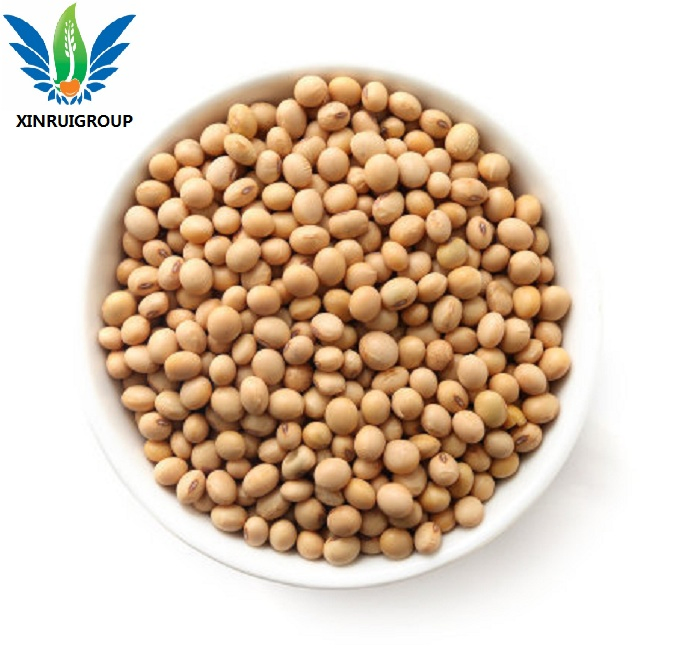 New Products Food Additives Soy Isolate Protein Plant Protein