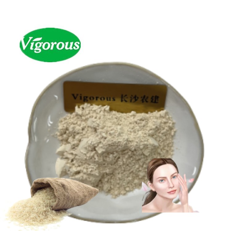 Rice Protein Powder