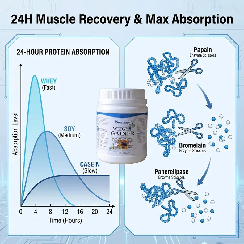Bulk Wholesale High Protein Mass Gainer Supplement for Fitness & Strength Training