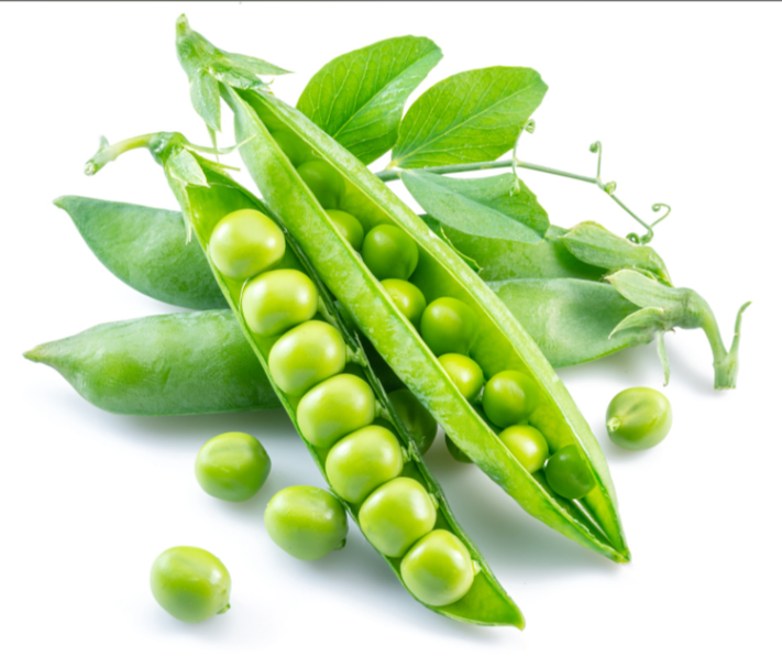 Wholesale Food Grade Pea Protein Healthcare Food Supplements Organic Pea Protein Powder