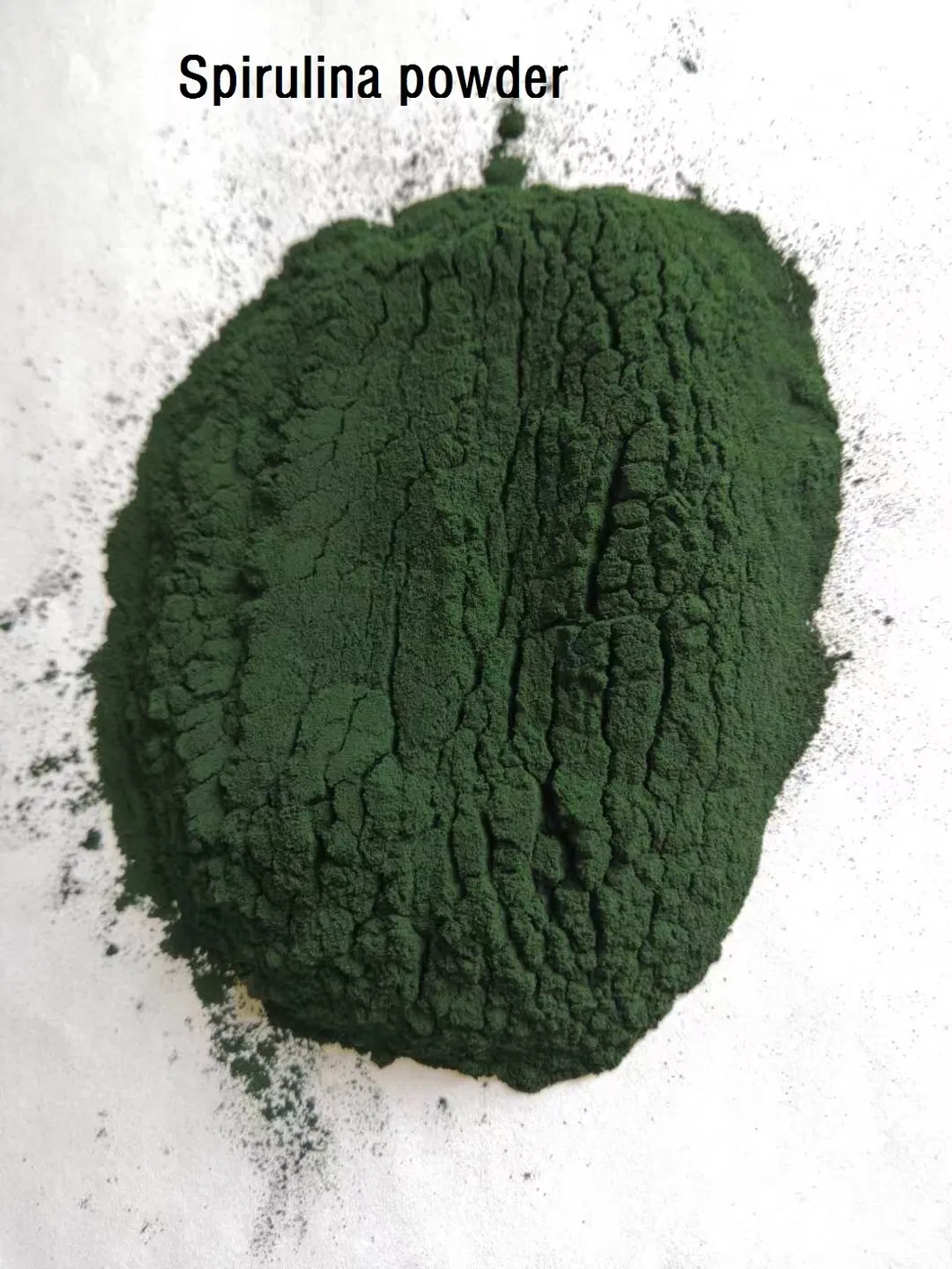 Spirulina Powder Supplier: High Protein Blue Green Algae Superfood