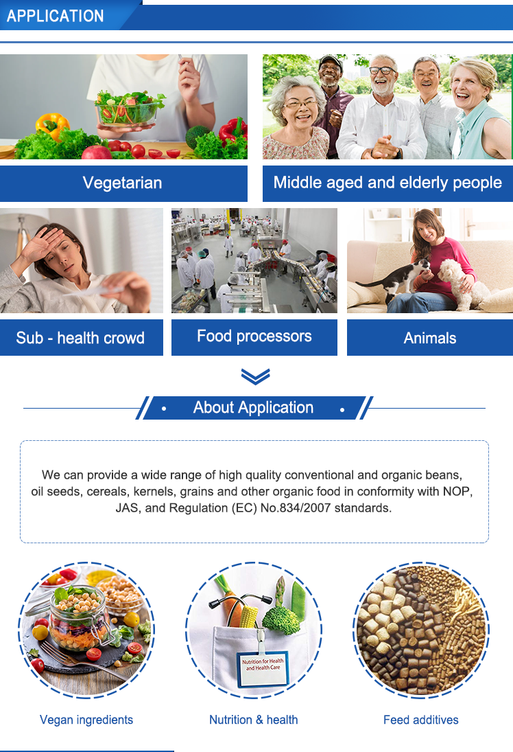 Product Details Overview