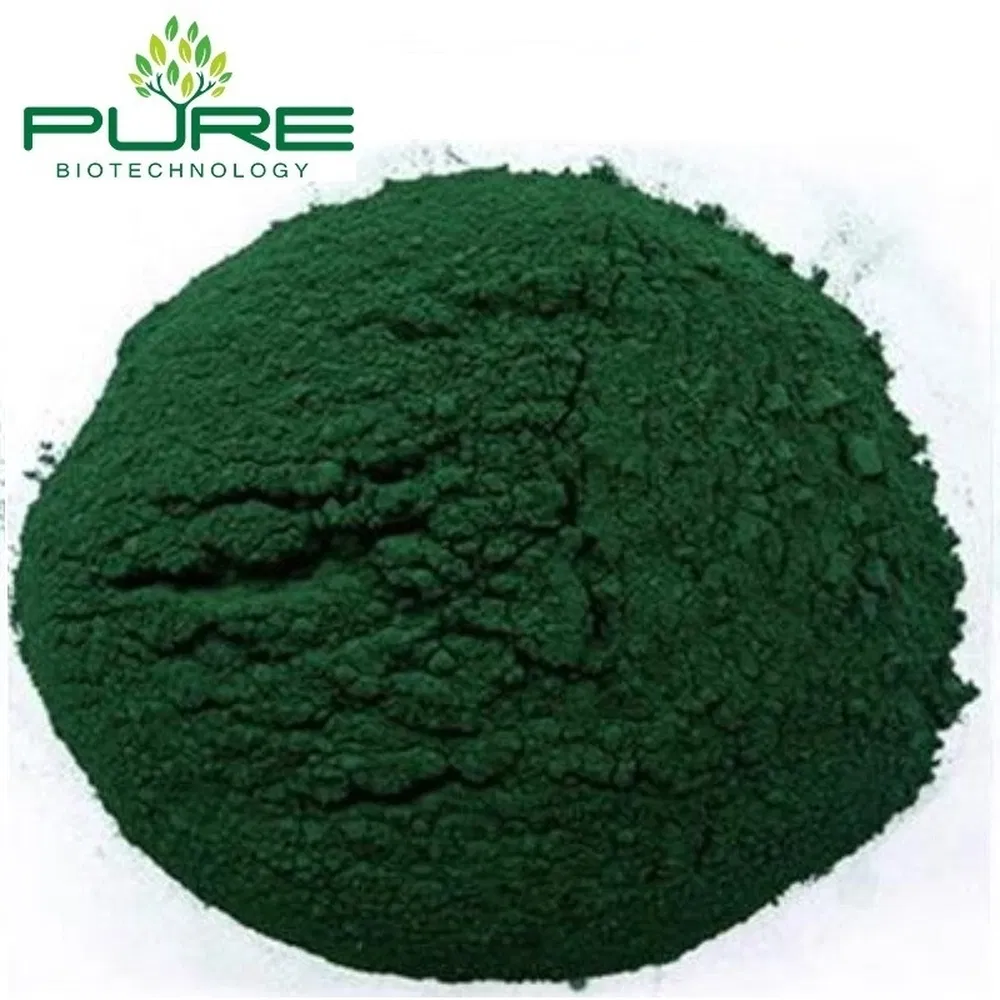 Organic Spirulina Protein Powder for Natural Energy Boost