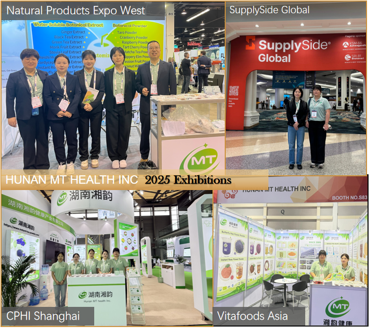 China Protein Manufacturer Supply Hot Sales 100%Pure Natural Free Sample 90%Protein Green Faba Bean Powder