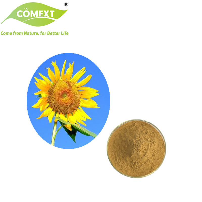 Comext 100% Natural Factory USA Warehouse 10%~30% Sunflower Disk Alkaloid 10: 1 Sunflower Disk Extract/Sunflower Protein Powder